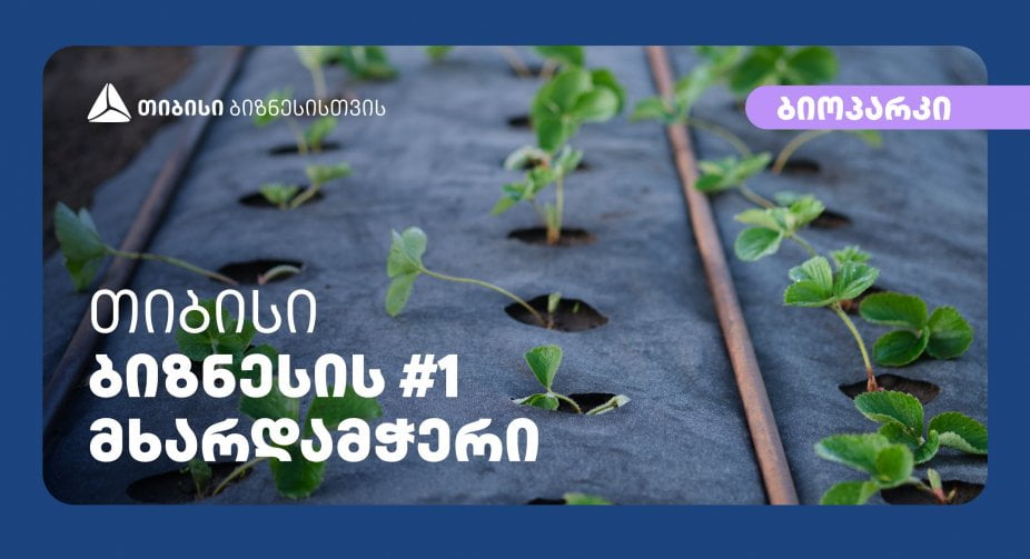 თიბისისთან პარტნიორობით კომპანია “ბიოპარკმა“ ქართულ ბაზარზე აგროქსოვილის რეალიზაცია გაზარდა