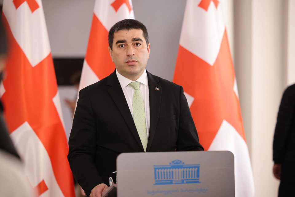 Georgian Parliament Speaker thanks EP for adopting resolution on killing of citizen by occupiers