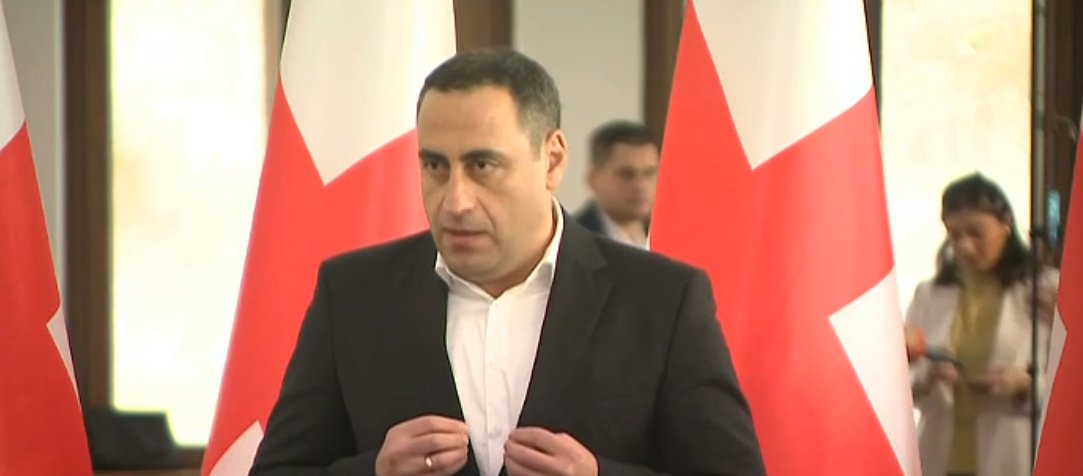 Strategi Agmashenebeli calls for bill to increase emigrants’ votes in elections