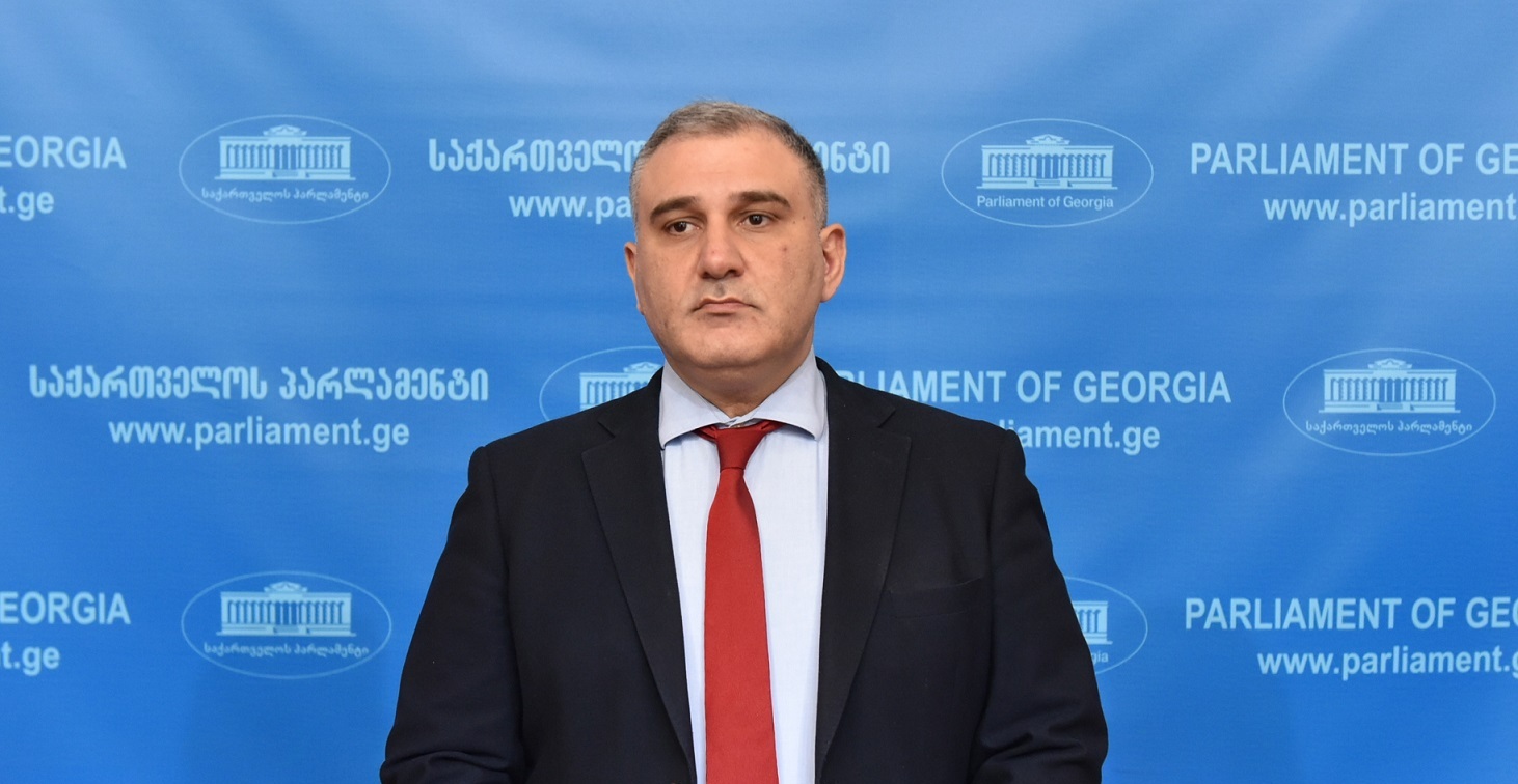 Parliament’s Human Rights Committee Chair appointed Georgia’s new Health Minister