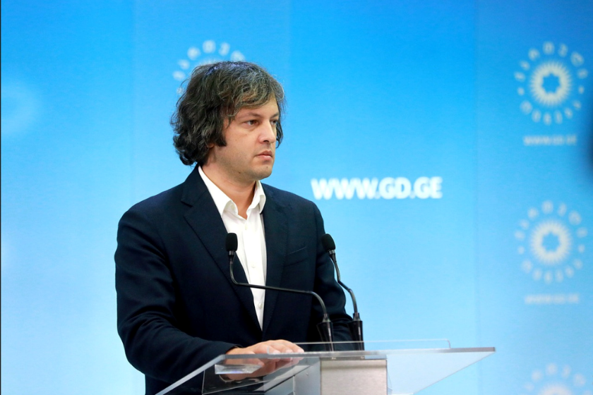 “No criteria” points to Ivanishvili’s being oligarch – ruling party