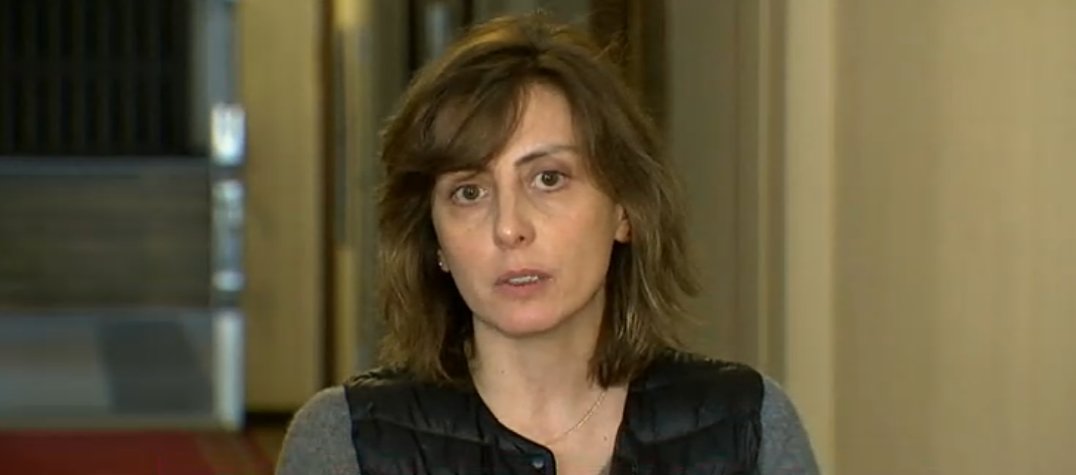Irrational moves, protests may cause more problems to UNM, Saakashvili – Dekanoidze