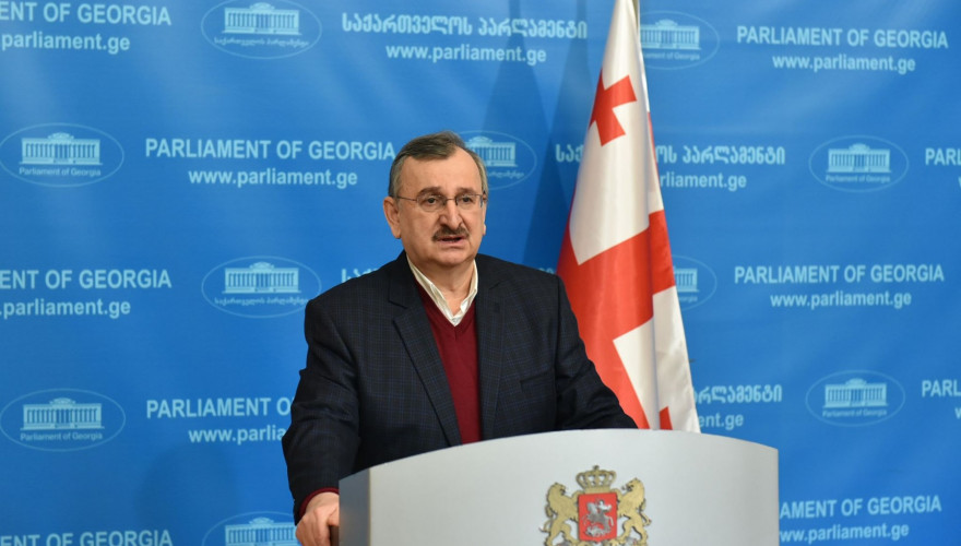 UNM MP says temporary visa regime will halt mass inflow of Russians in Georgia