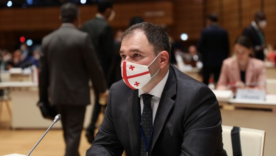 Ruling party MP Samkharadze: more than 100k people gathered at GD rally
