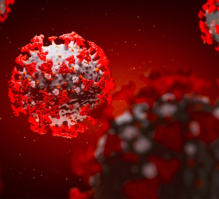 WHO experts assess the likelihood of laboratory origin of coronavirus