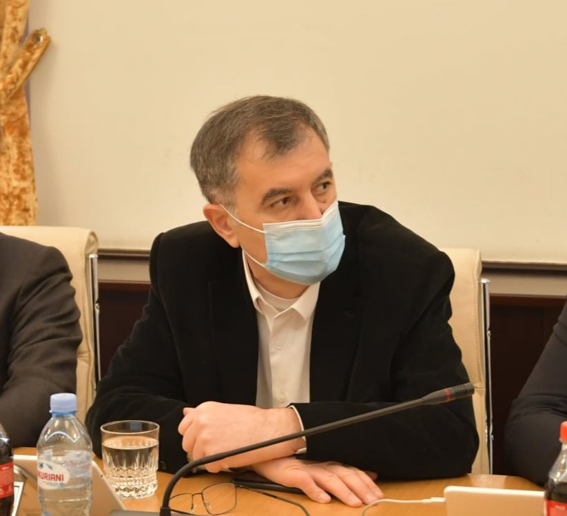 “ჩვენ ევროკავშირში წავალთ ჩვენი ხედვით”