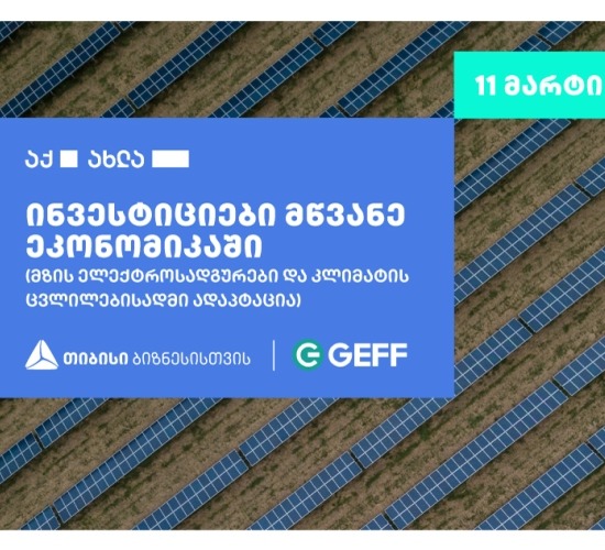 თბილისში ონლაინ ფორუმი „ინვესტიციები მწვანე ეკონომიკაში“ ჩატარდება