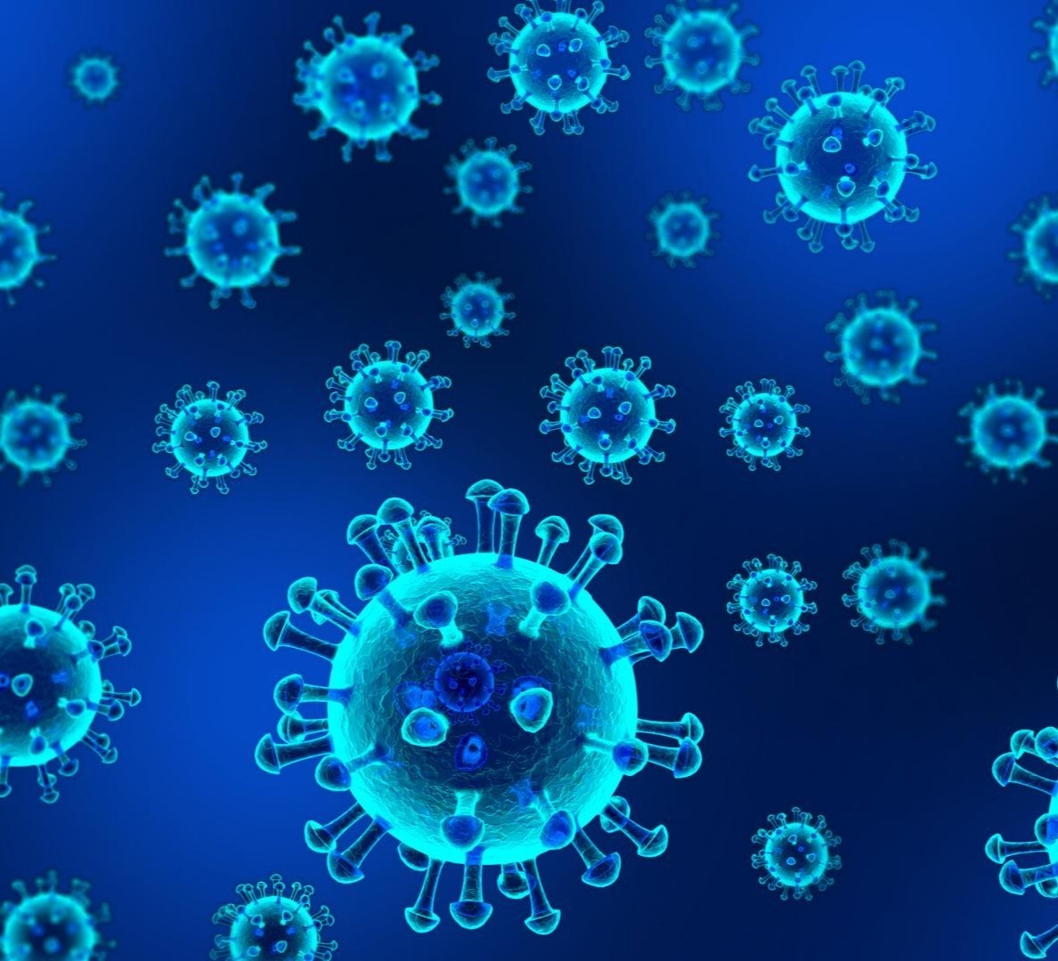 კორონავირუსის 344 ახალი შემთხვევიდან 188 თბილისში გამოვლინდა