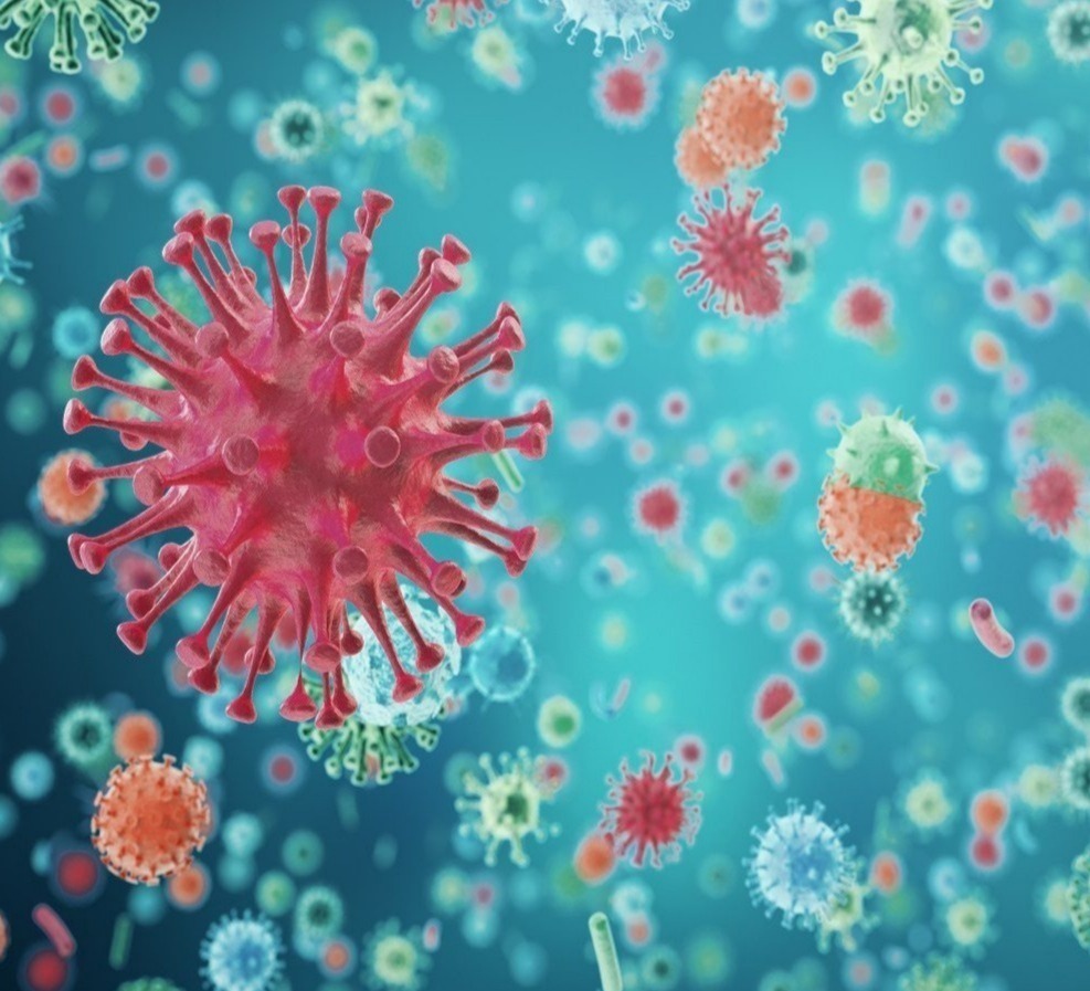 Out of 450 new cases of coronavirus, 237 were detected in Tbilisi