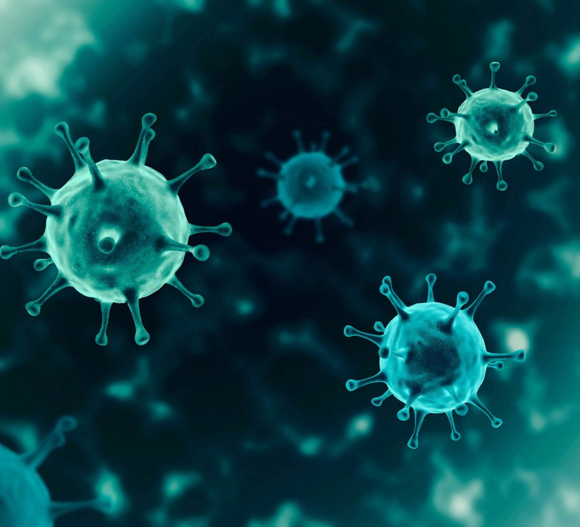 კორონავირუსის 365 ახალი შემთხვევიდან 183 თბილისში გამოვლინდა