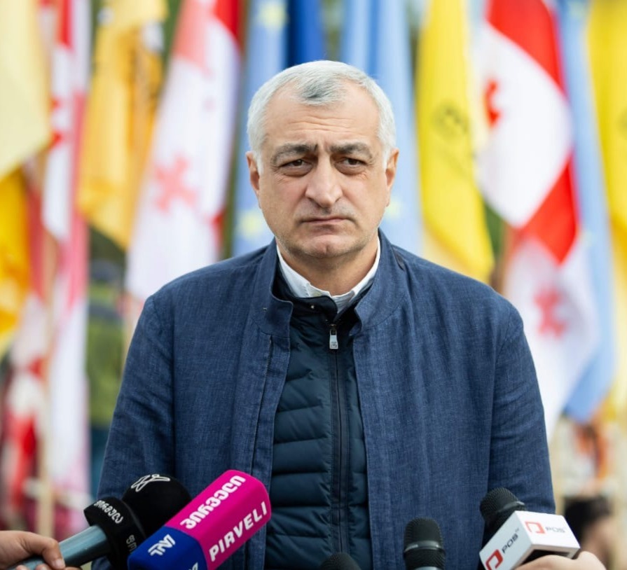 “ოცნების“ პოზიცია იყო გასაკვირი, რადგან მე ვერ გავიგე კონკრეტული პასუხი, ეთანხმებიან თუ არა დოკუმენტს”