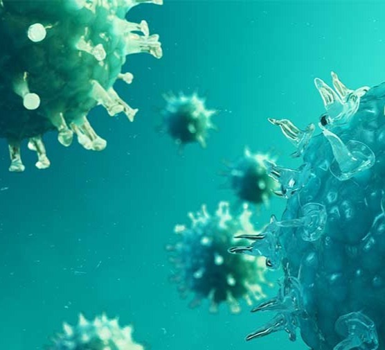 616 new cases of coronavirus were detected in Georgia, 268 people recovered