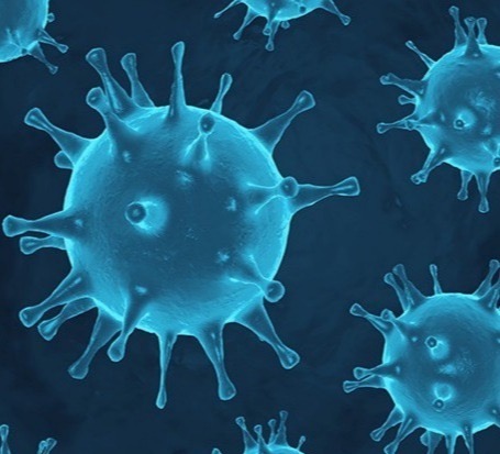 The number of COVID-19 infections in the world exceeded 133 million, the number of victims – 2.88 million