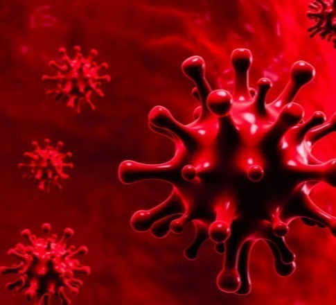 14 553 new cases of coronavirus detected in Ukraine