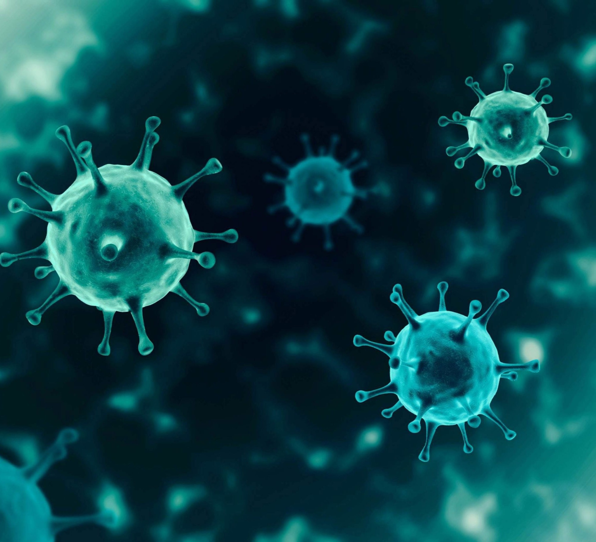 The number of COVID-19 infections in the world exceeded 142 million, the number of victims – 3 million