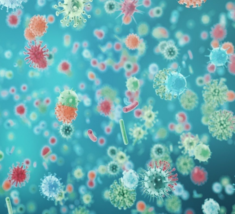 The number of COVID-19 infections in the world exceeded 149 million, the number of victims – 3.1 million