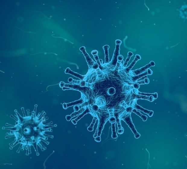 8,549 new cases of Covid-19 infection recorded in Ukraine per day