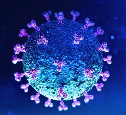 The number of COVID-19 infections in the world exceeded 156.9 million