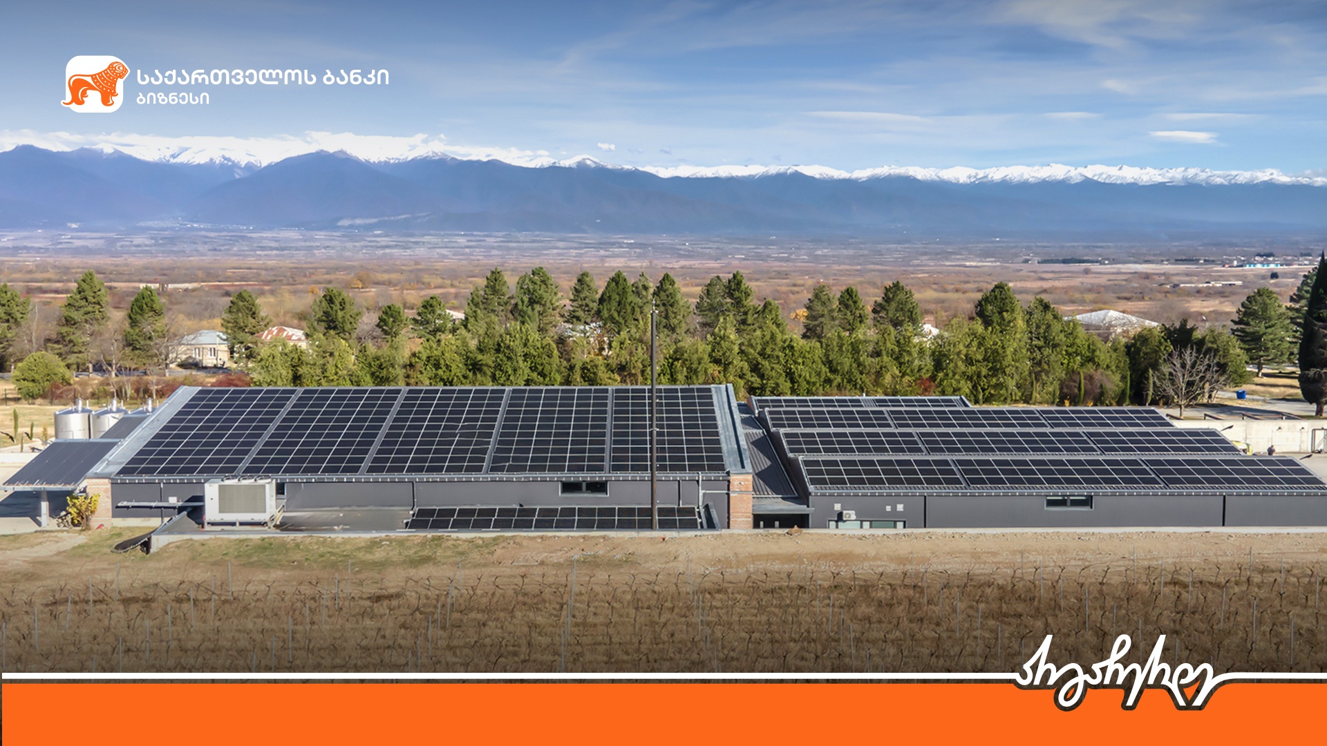 “საქართველოს ბანკის” მხარდაჭერით “ვაზისუბნის მამული” განახლებად ენერგიაზე გადავიდა