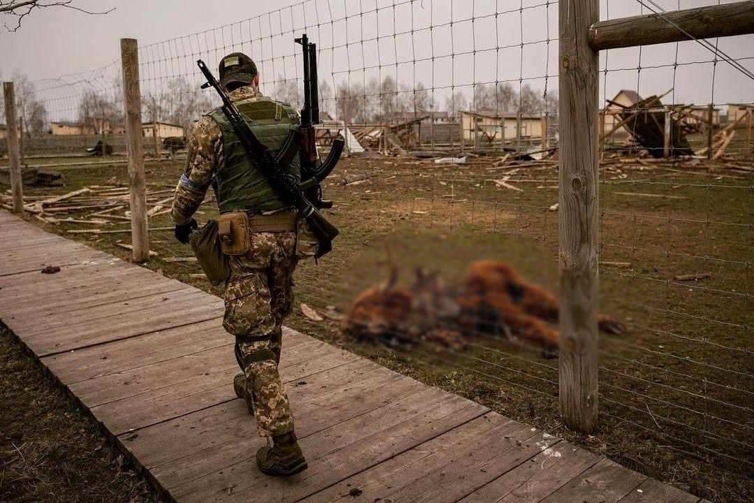 The result of Russia’s actions in Ukraine