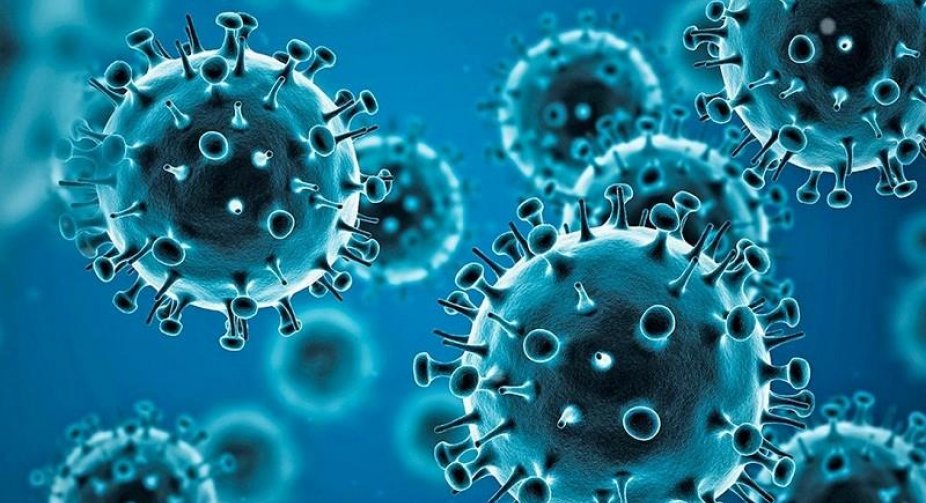 Coronavirus daily cases at 19,049 in Georgia