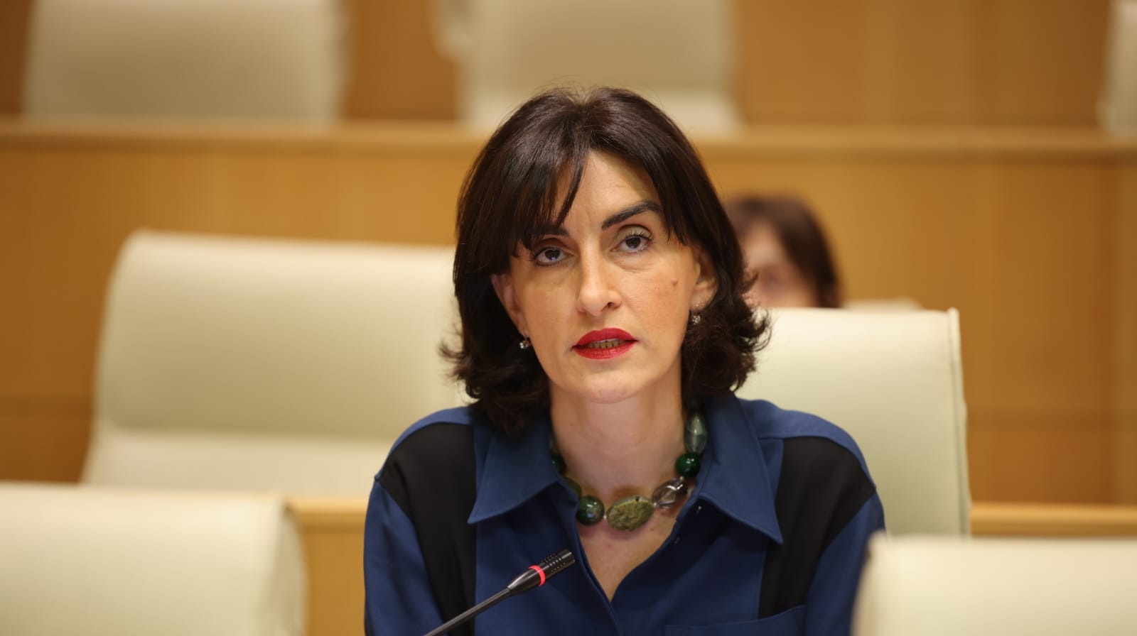 Parliamentary committee chair advocates transparency in NGO funding