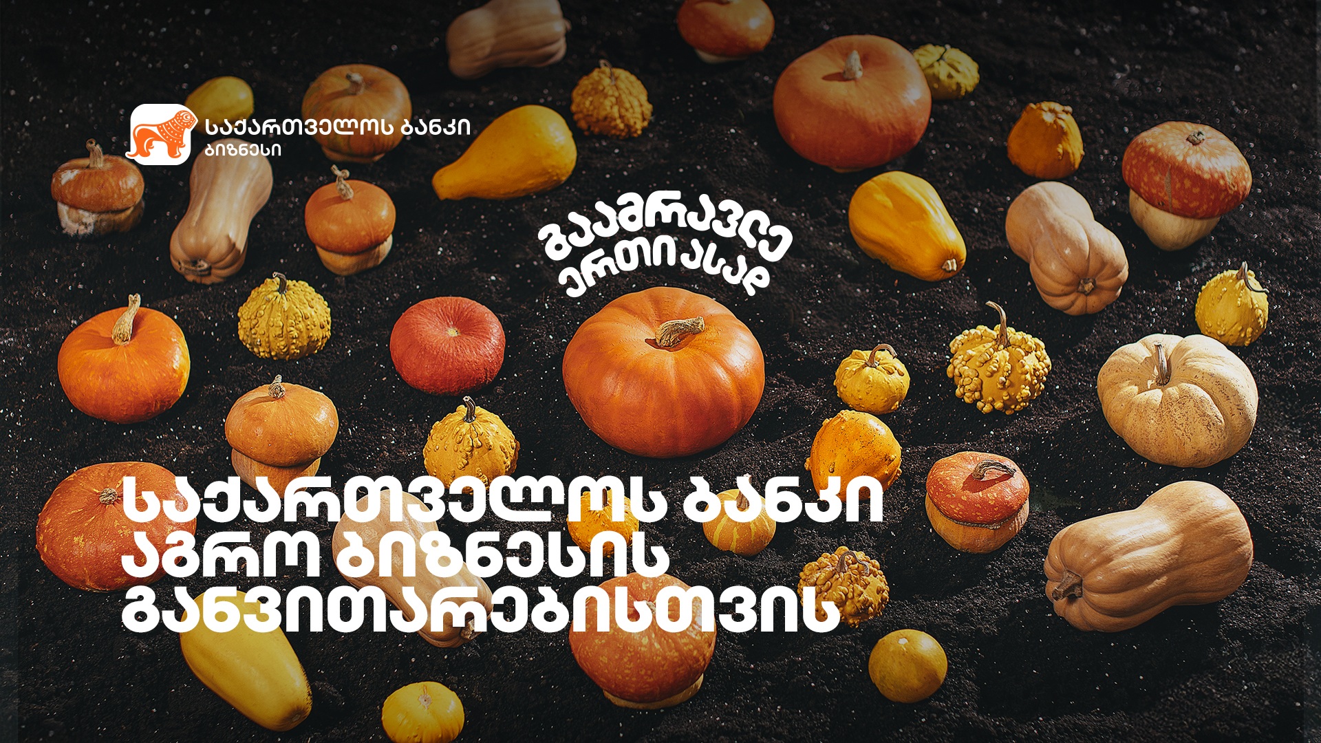 გაამრავლე ერთი ასად – “საქართველოს ბანკმა” აგრობიზნესის მხარდასაჭერი კამპანია დაიწყო