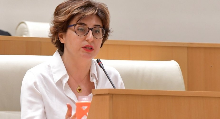 Republican party chair Samnidze: new FM expected to be “more obedient” to PM