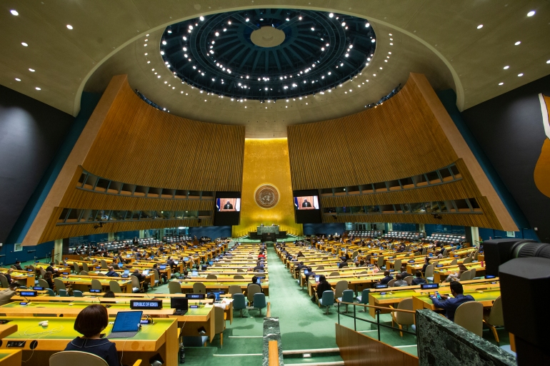 UN adopts resolution, supporting the return of Georgian IDPs to currently Russian-occupied regions