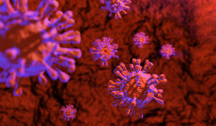 Coronavirus in Georgia: weekly positivity rate down to 6.86%