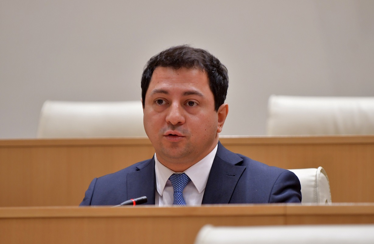 Vice Speaker urges partners to “focus on” Georgia’s EU candidacy more than resumed Russia flights