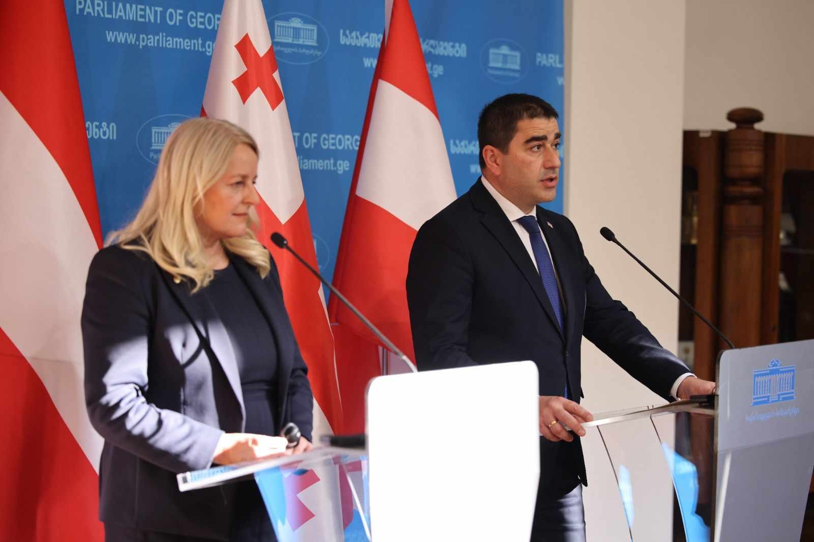 Austrian Bundesrat chair calls on Georgian Gov’t to “continue doing homework” for EU integration