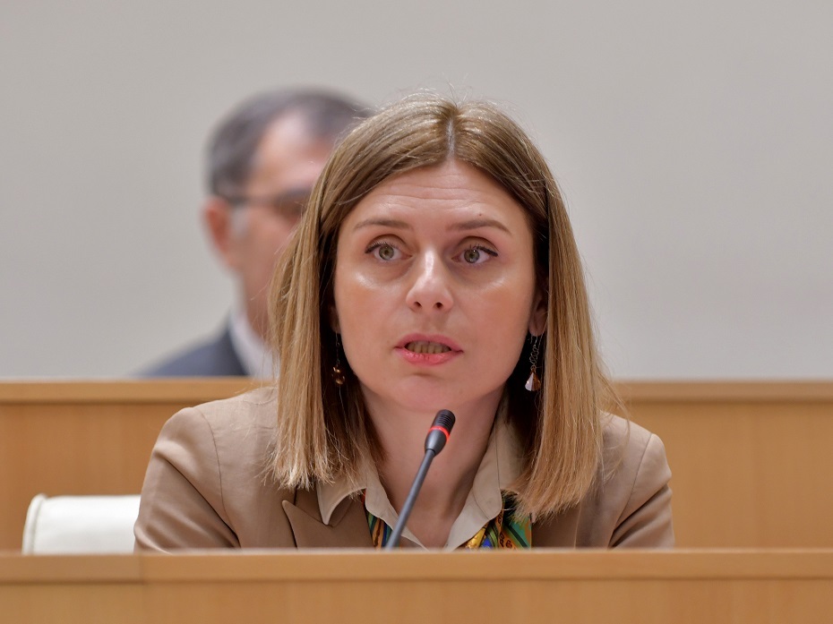 Opposition MP calls for joint appeal for support to NATO ahead of Vilnius Summit