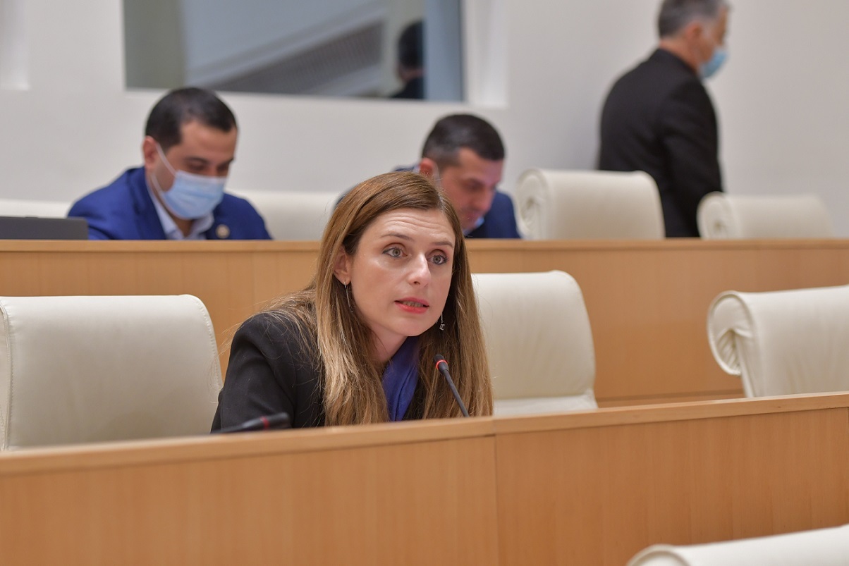 თეონა აქუბარდია – საოკუპაციო ხაზთან სოფლებში ჩვენს მოქალაქეებს აწვიმთ