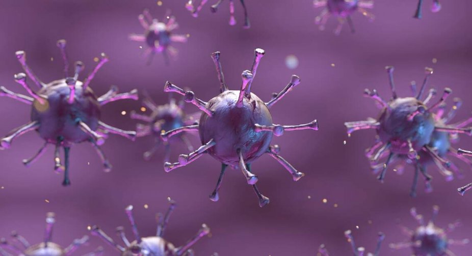 Covid daily cases surge to 5,596 in Georgia