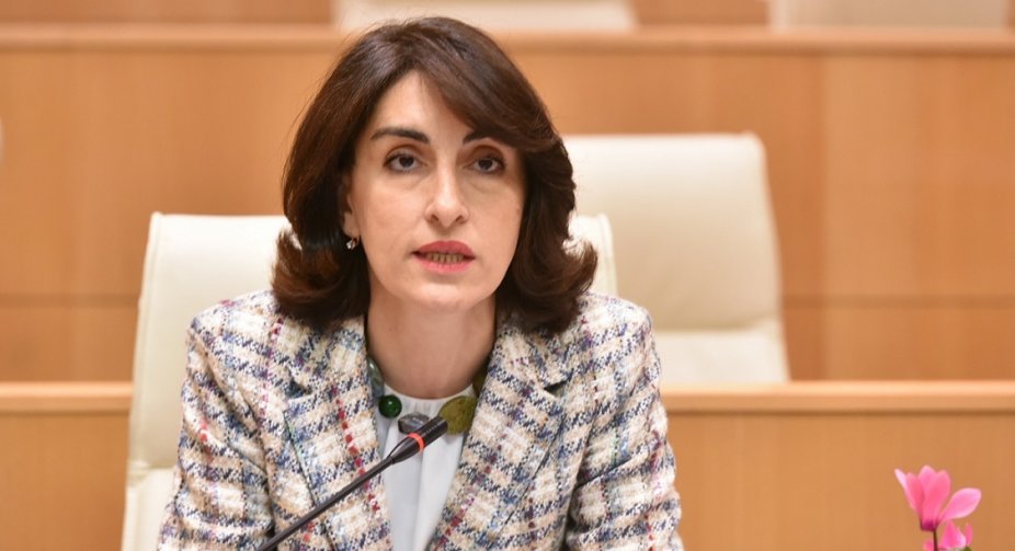 EU demarche on resumed Russia flights “won’t become hindering factor” – Georgian parliamentary official