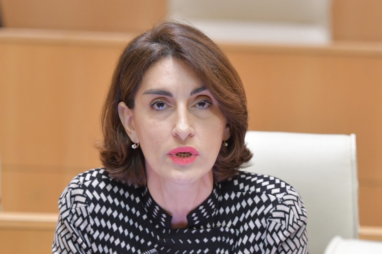 MP Botchorishvili states opposition harming Georgia’s strategic interests doomed to failure