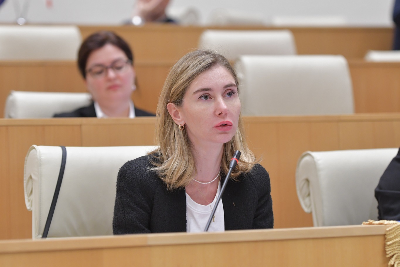 Georgia’s opposition leader asserts strategic interests of Trump, Ivanishvili won’t align