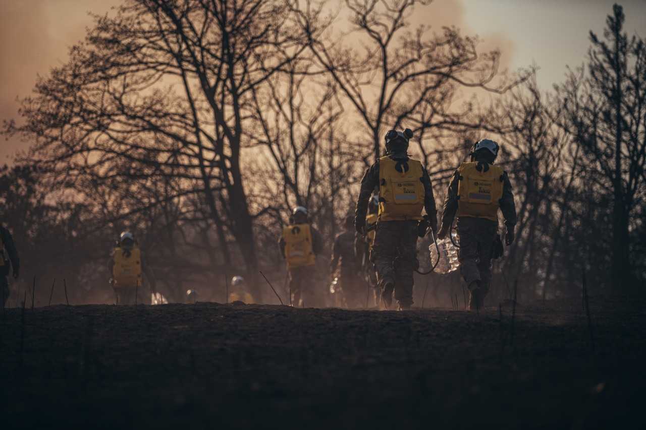 100 reservists sent to Borjomi to combat forest fires