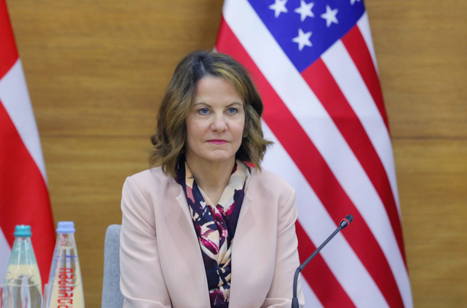 US Ambassador says Ivanishvili prioritizes personal financial interests over Georgian People
