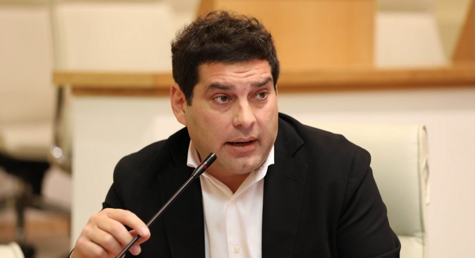 Ruling party MP slams Danish Ambassador for labeling Ivanishvili as “oligarch”