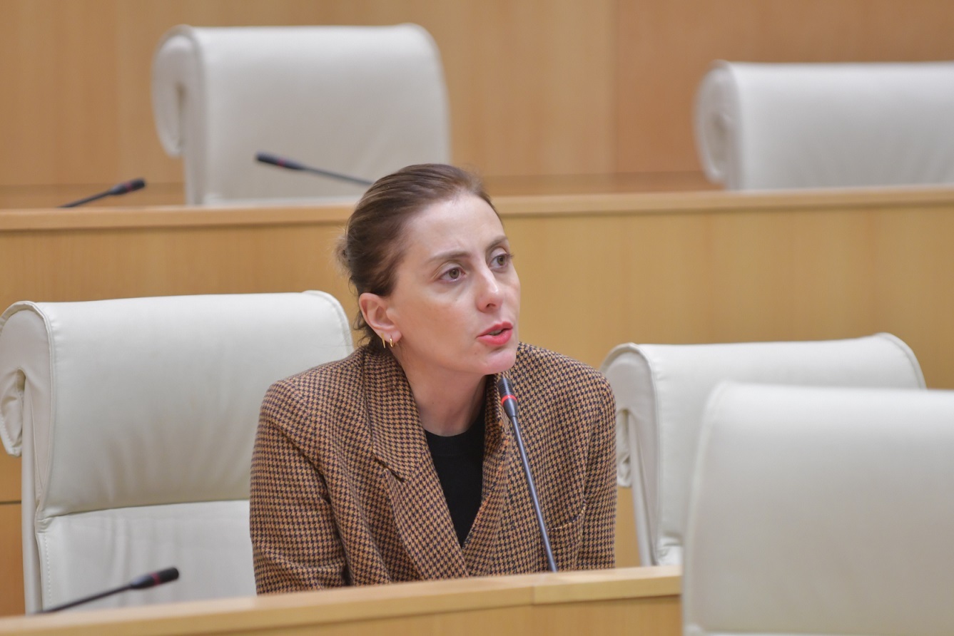 Opposition MP Dekanoidze:configurations within opposition may not captivate citizens’ interest