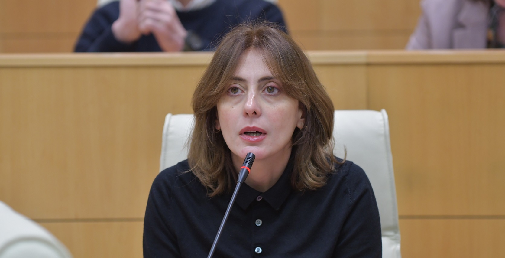 Opposition slams ruling party’s plans to hold rally in support of controversial foreign transparency bill