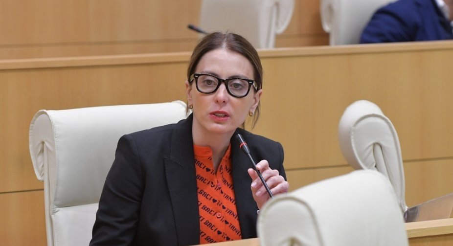 UNM MP Dekanoidze: opposition to leave for Ukraine separately