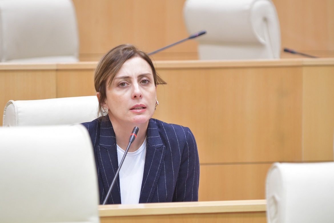 Opposition MP Dekanoidze warns against abolition of gender quotas in Georgian politics