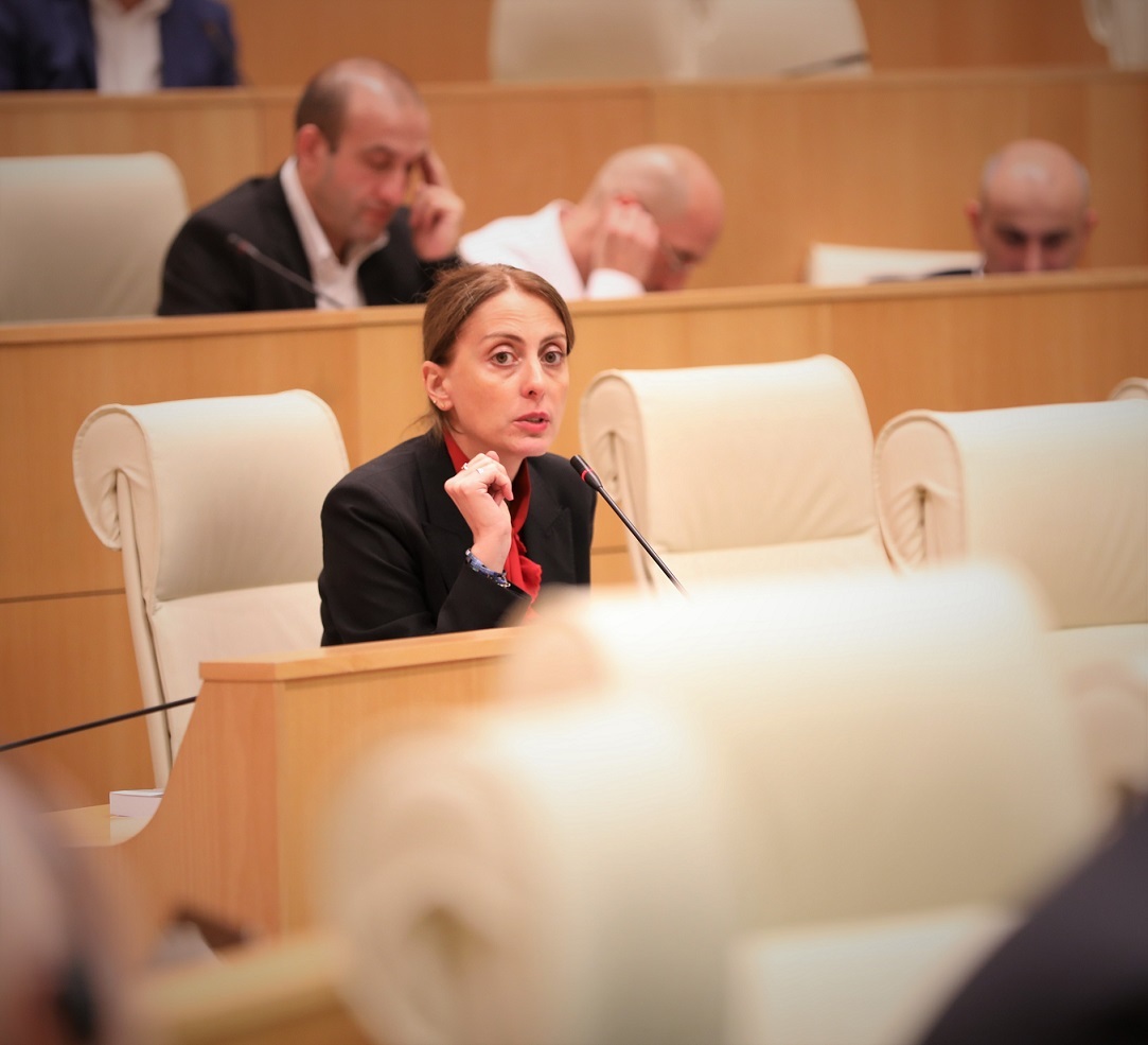 It’s gov’t task, responsibility to consider PACE resolution, release Saakashvili – UNM’s Dekanoidze