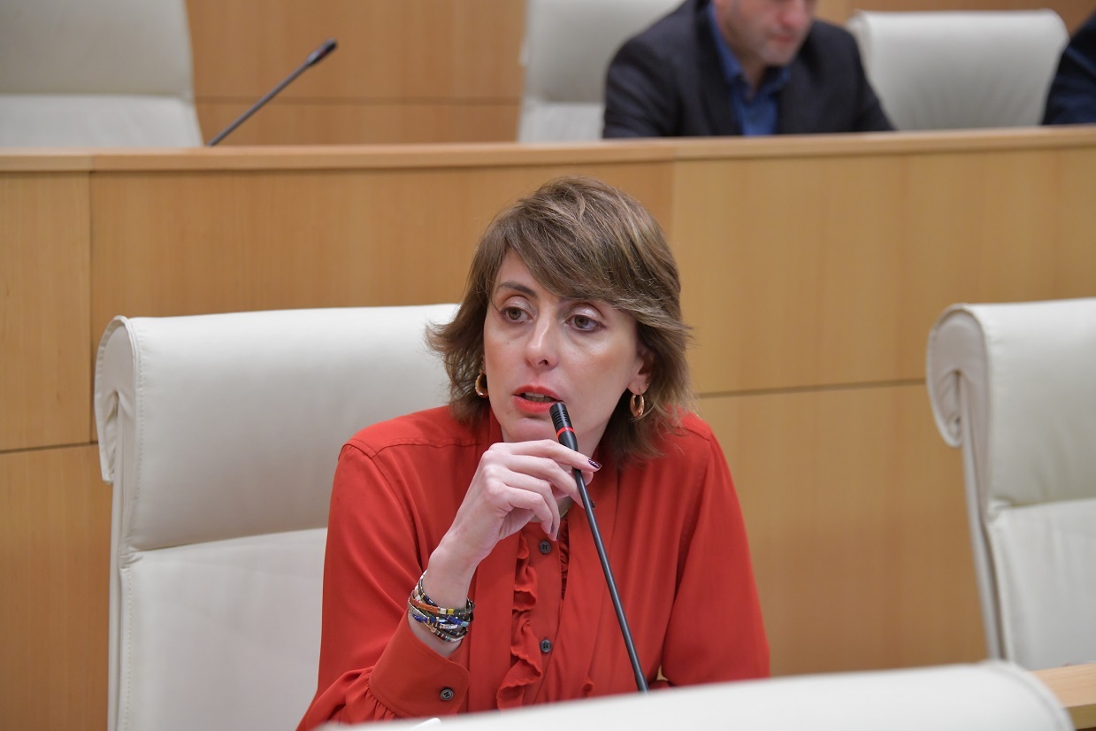 “MEGOBARI Act” reflects bipartisan support for Georgian people, says opposition leader