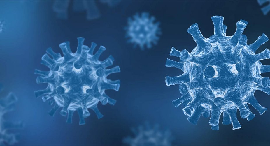 Coronavirus daily cases at 865 in Georgia