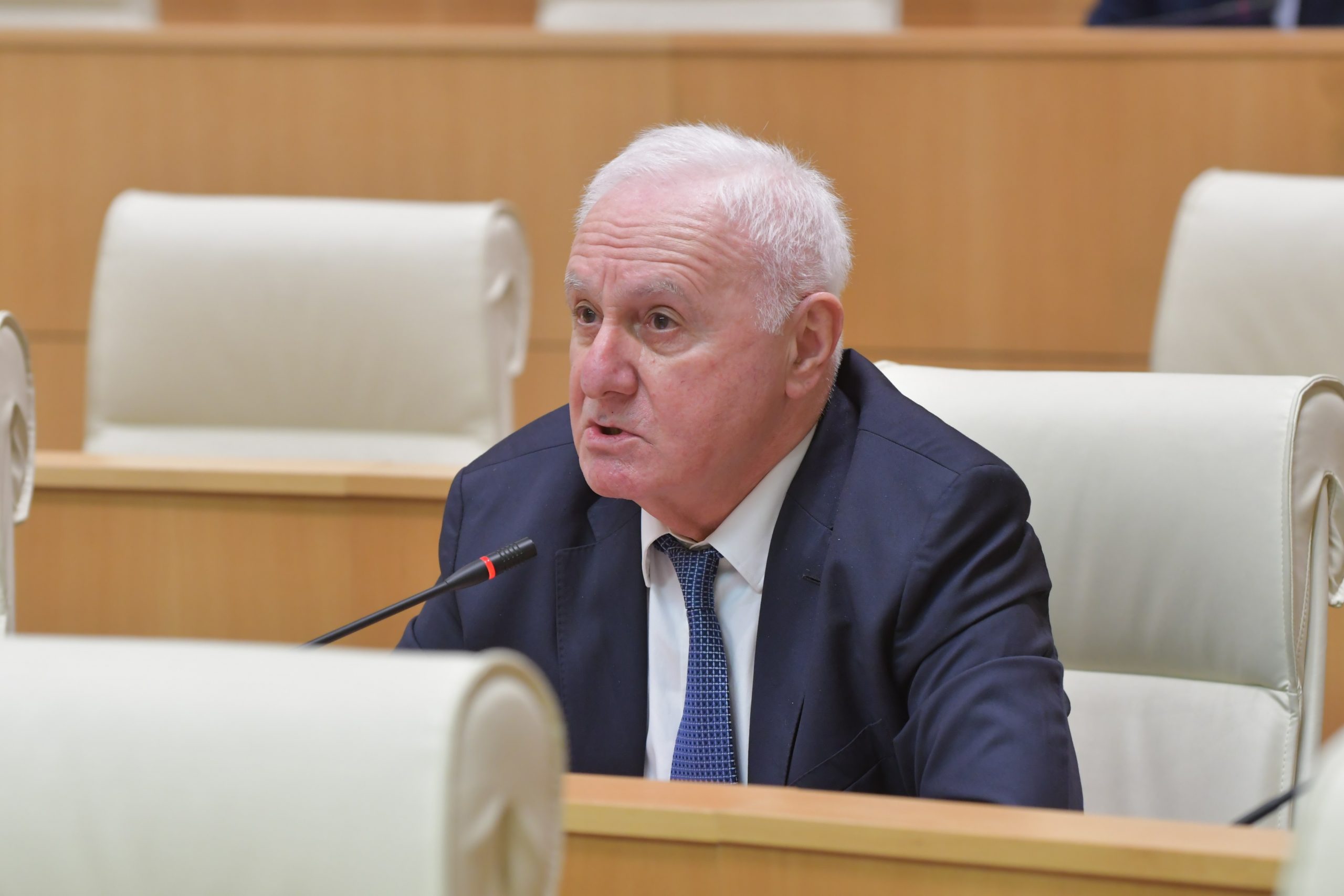 Georgian opposition MP offers linking with Russian banking system