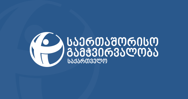 Gov’s lacks“systemic approach” to combat disinformation, it spreads anti-western narratives – TI Georgia